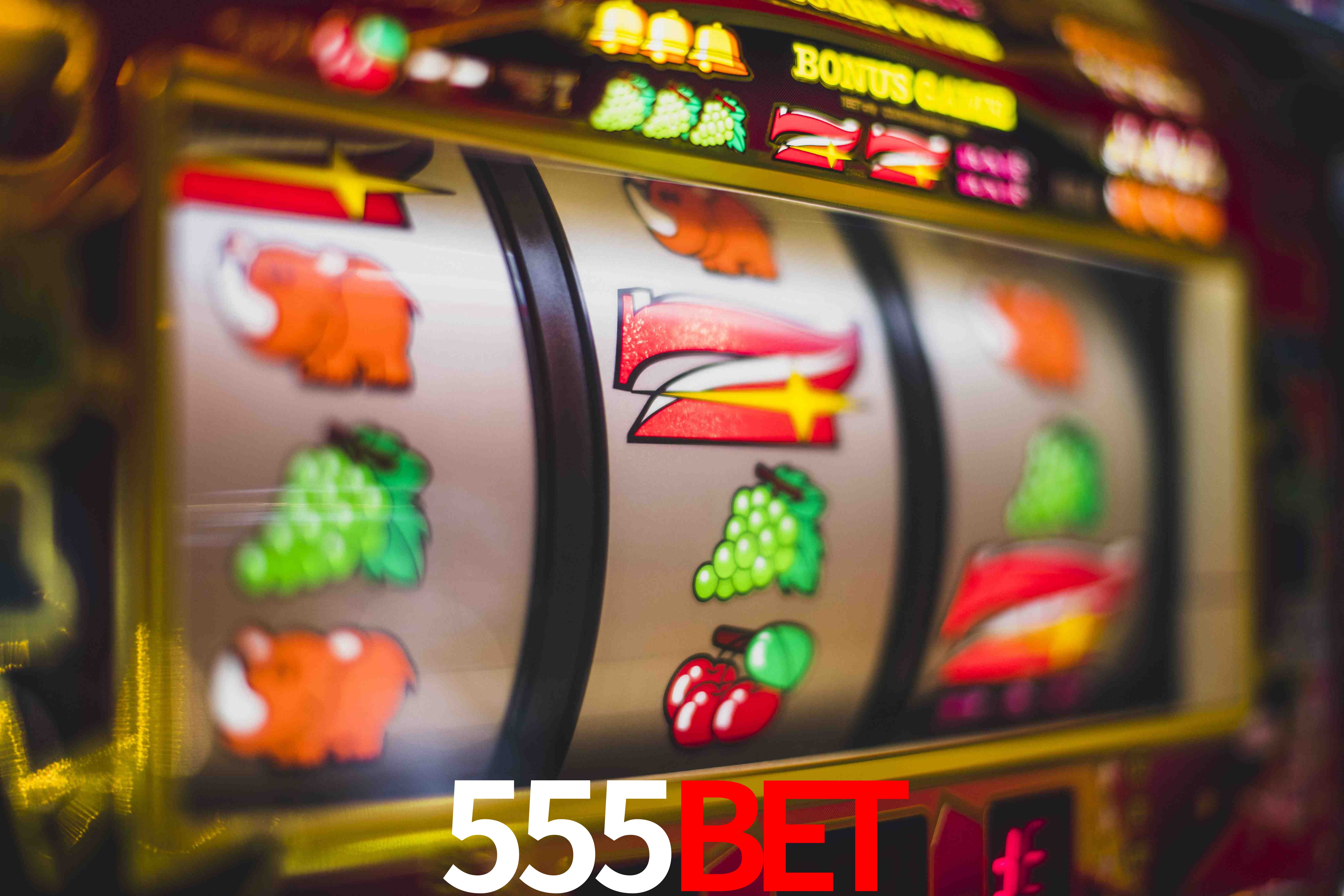 Game Providers 555bet